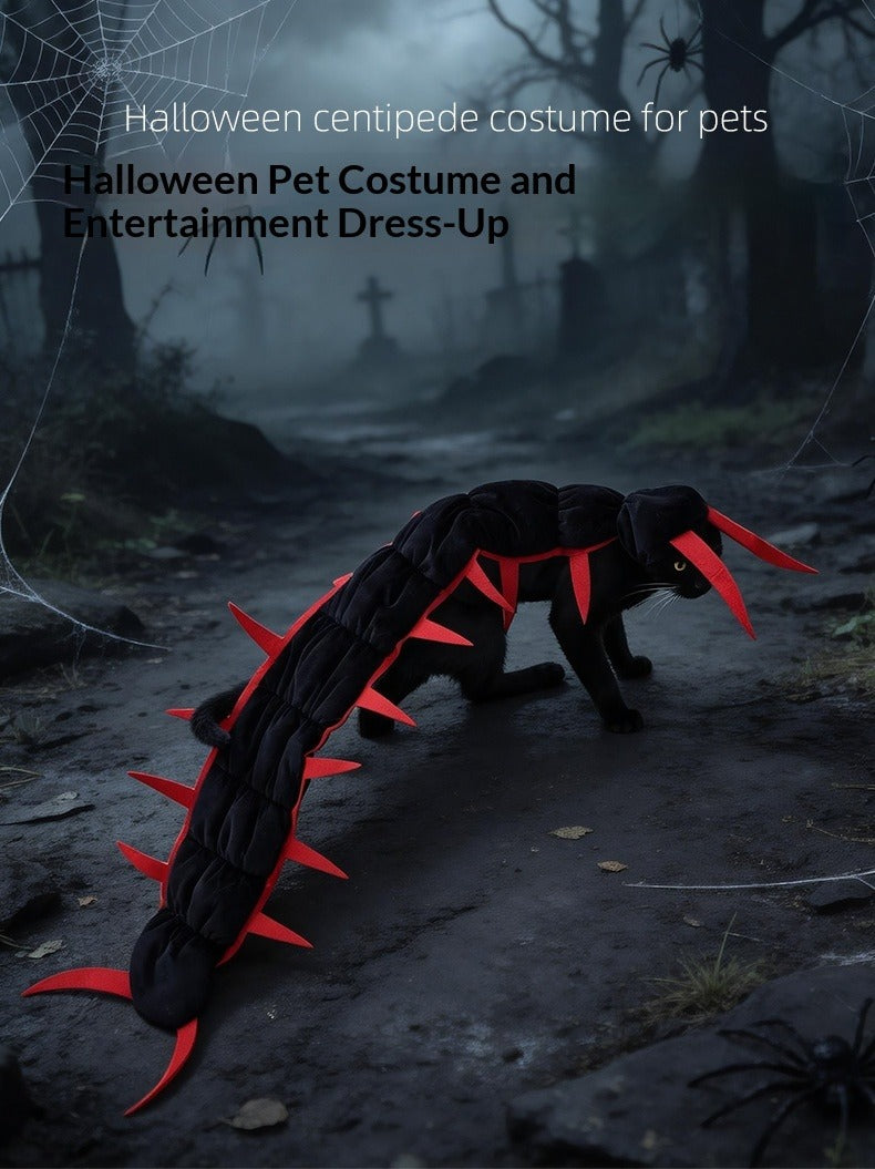 Halloween Pet Cat Costume
